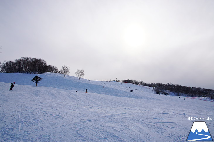 北海道スキー場巡り vol.2 ～恵庭市民スキー場・札幌北広島クラッセスノーパーク・ダイナスティスキーリゾート・国営滝野すずらん丘陵公園スノーワールド～